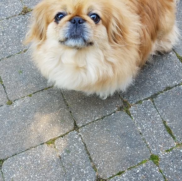 Meet The Posher - Picture 6 of 15